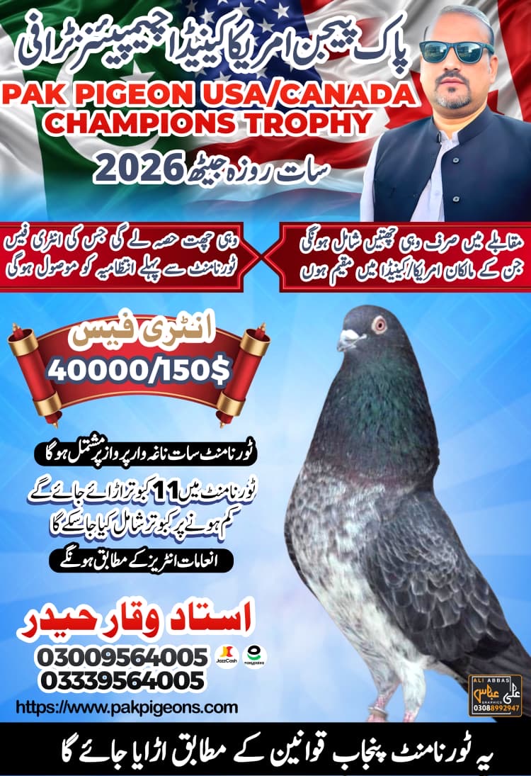 Chach attock itefaq 6 city asooj cup 2020
